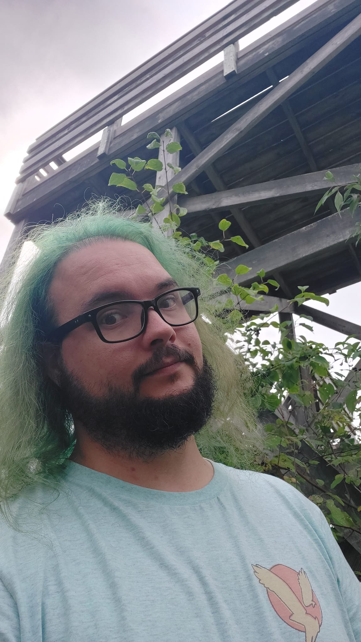 A man with green hair stands in front of a lookout structure in a wetland